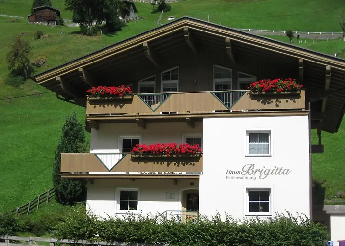 هاوس بريجيتا * تكس