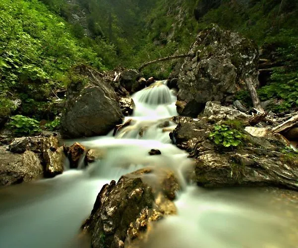 Haus Brigitta Appartement Tux