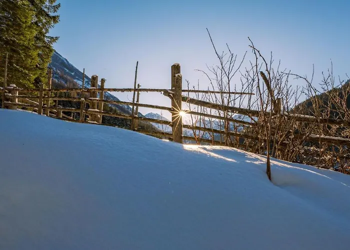 Appartement Haus Brigitta